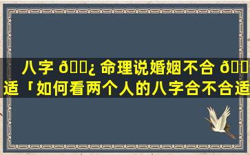 八字 🌿 命理说婚姻不合 🐬 适「如何看两个人的八字合不合适婚姻」